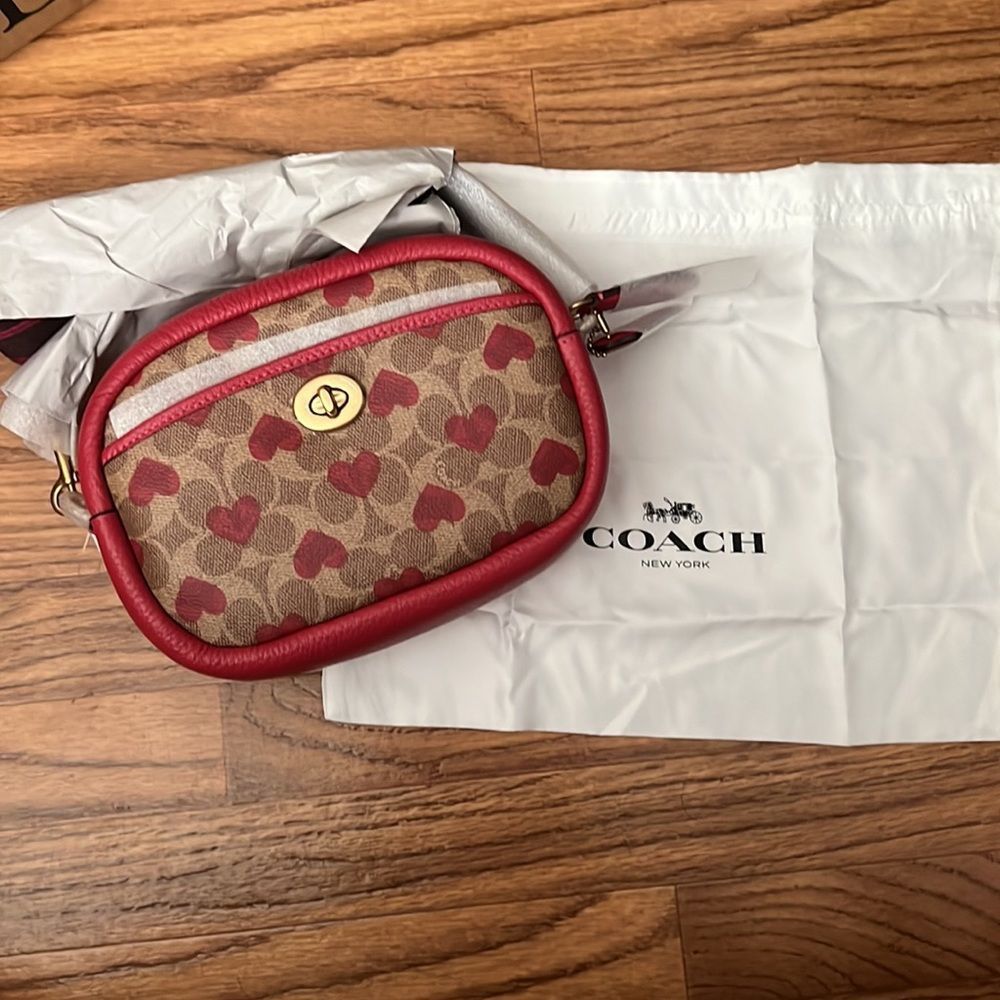 Coach camera bag hearts print from Valentine’s 2022 edition